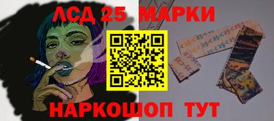 spice Пенза
