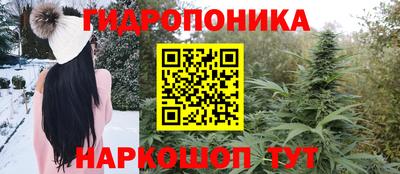 spice Пенза