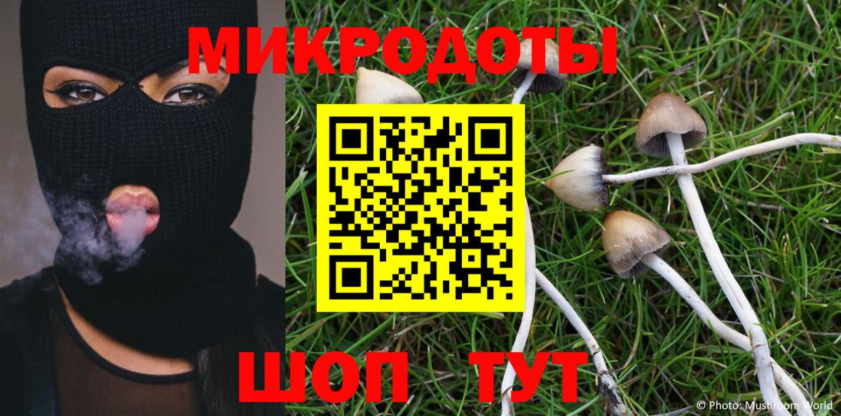 где купить наркоту  Вход с VPN  Петропавловск-Камчатский  Псилоцибиновые грибы мицелий 