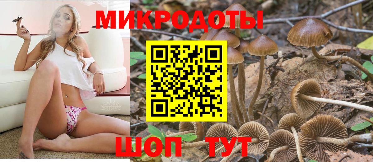 ГАШИШ  ТГК  Петропавловск-Камчатский  Меф МЯУ МЯУ   МАРИХУАНА  Вход с VPN  COCAIN 